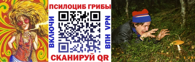 Купить закладки  Холм  Псилоцибиновые грибы MAGIC MUSHROOMS 